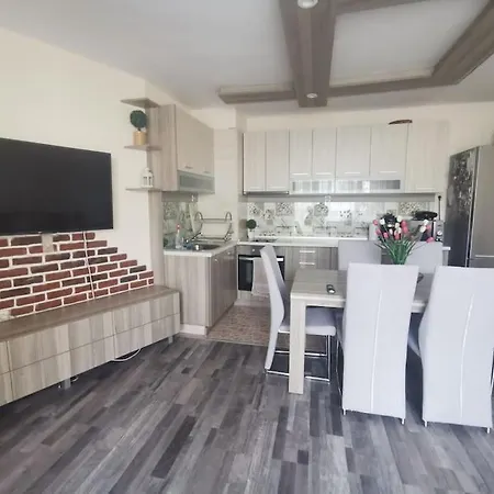 Luxurious Flat - Center Plevne